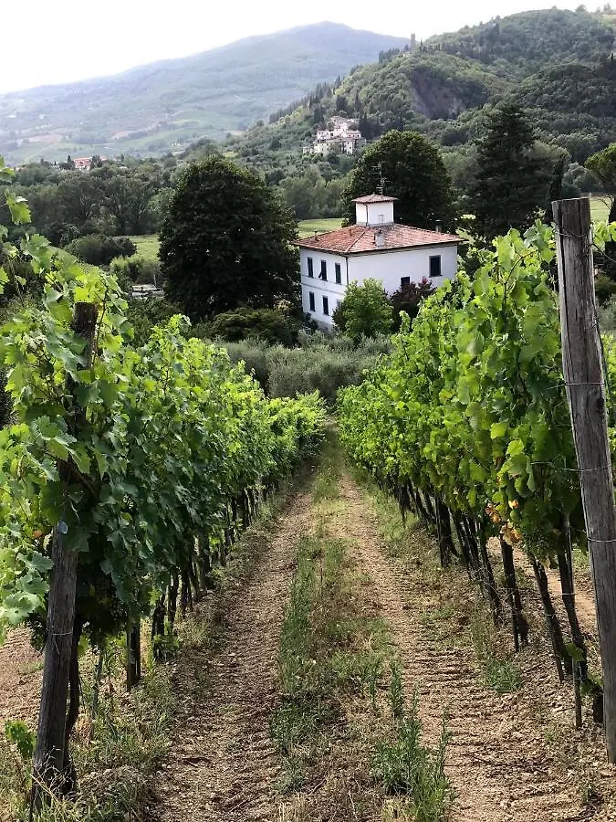 Il Pezzatino Pension Rufina 0*,  Italië