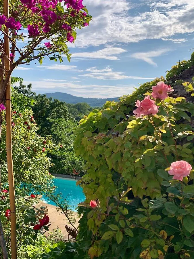 Country house Il Pezzatino Guest House Rufina