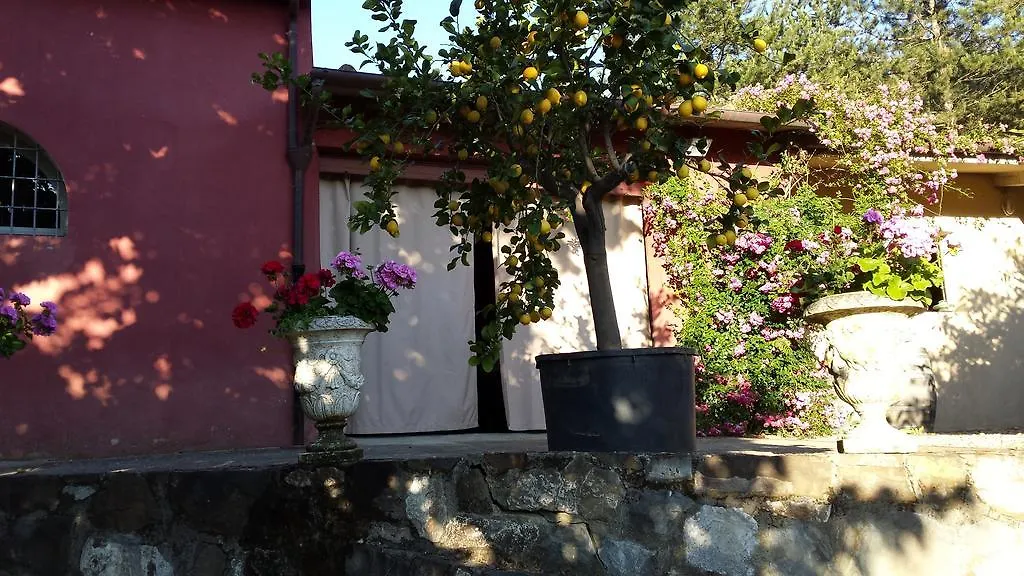 Country house Il Pezzatino Guest House Rufina