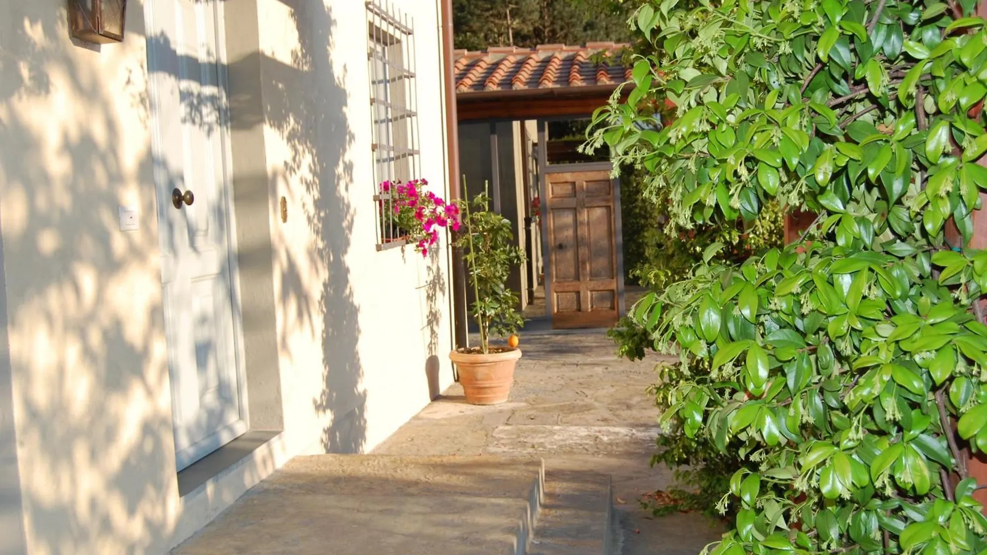 Country house Il Pezzatino Guest House Rufina Italy
