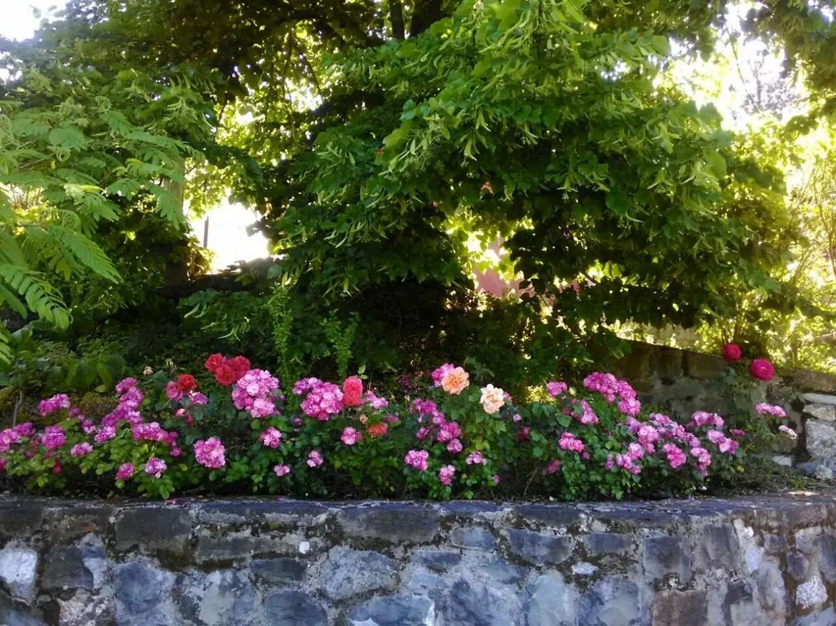 Il Pezzatino Guest House Rufina