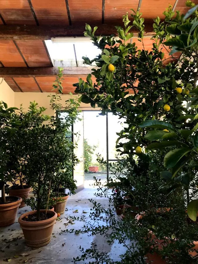 Il Pezzatino Guest House Rufina Country house